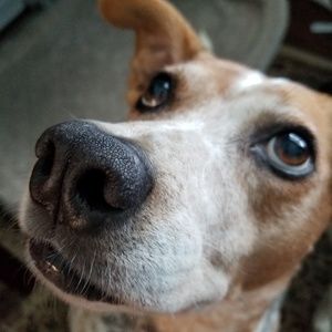 Meet your Posher, Tammi